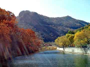 象山炒股精英揭秘股市风云传奇，前十名高手股市风云录