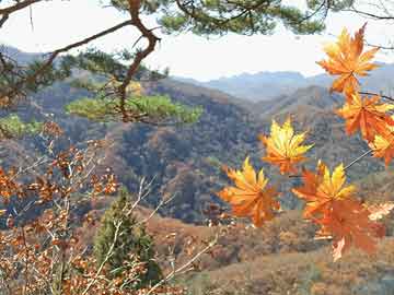 华润集团副经理内幕揭秘，最新消息一览无余