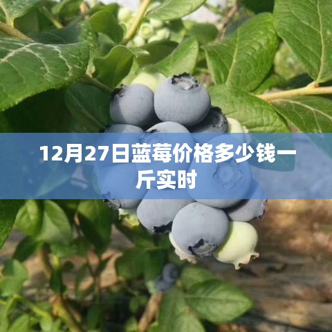 第1433页