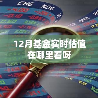 12月基金实时估值查看指南