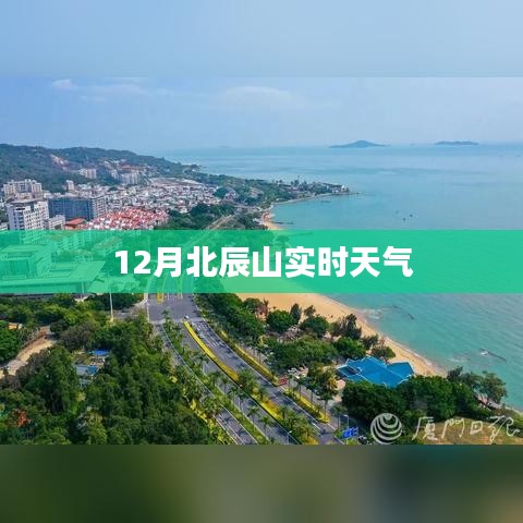 技术支持 第179页