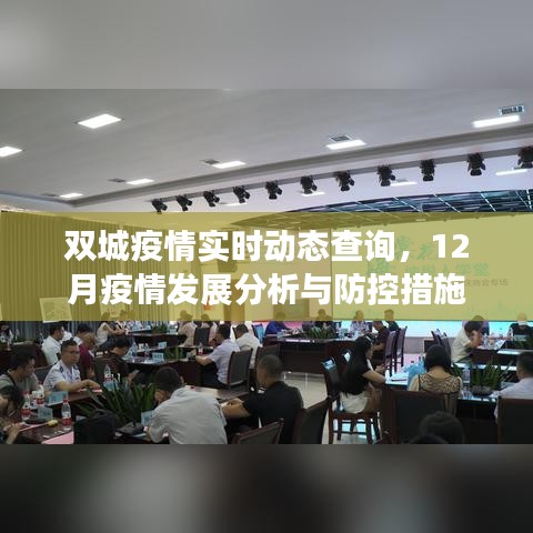 双城疫情实时动态及防控措施，最新分析与查询