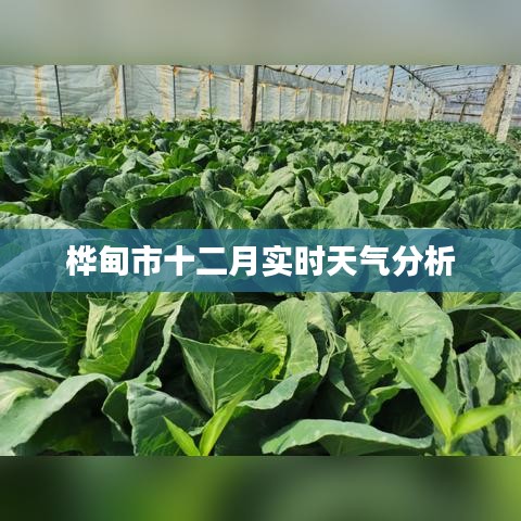 桦甸市十二月最新天气分析