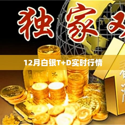 技术支持 第174页