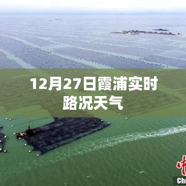技术支持 第173页