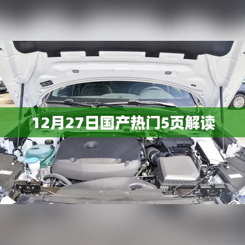 国产热门解读，深度剖析，洞悉行业风向