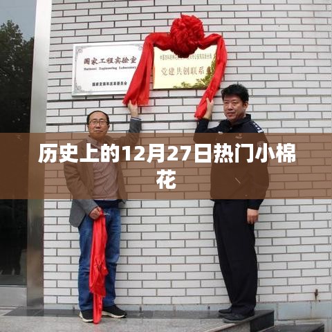 历史上的大事件，小棉花背后的故事在十二月二十七日揭晓