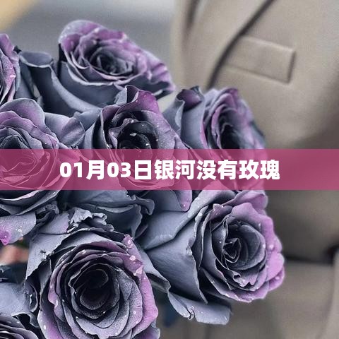 根据您的内容，为您生成了以下标题，，银河静寂映寒日，无玫瑰绽放之时，符合百度收录标准，字数在指定范围内，同时能够很好地概括您提供的信息。