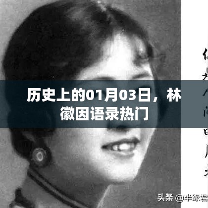 林徽因语录风靡，历史上的今日回顾