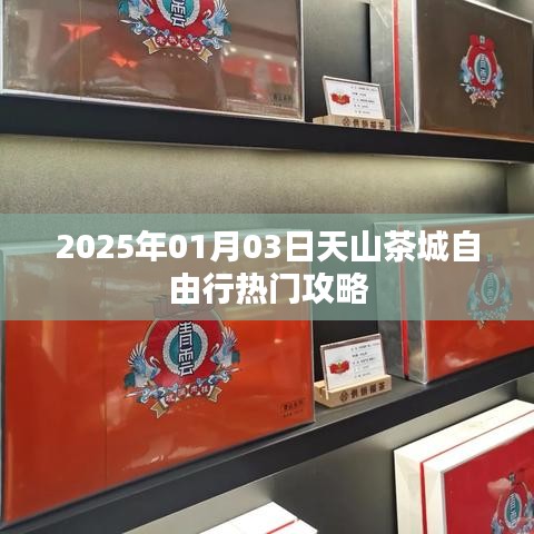 天山茶城自由行指南，热门攻略一网打尽