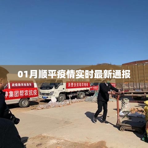顺平疫情最新实时通报（每日更新）