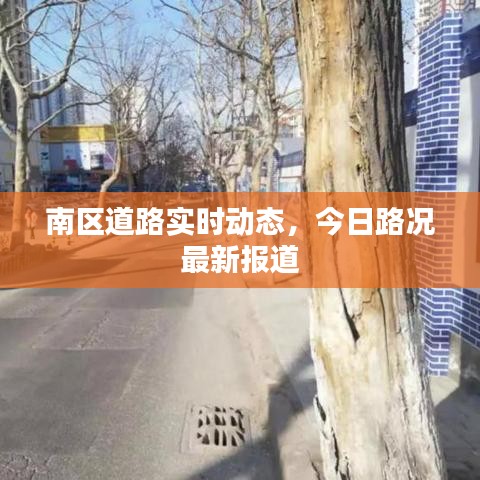 物稀为贵 第3页