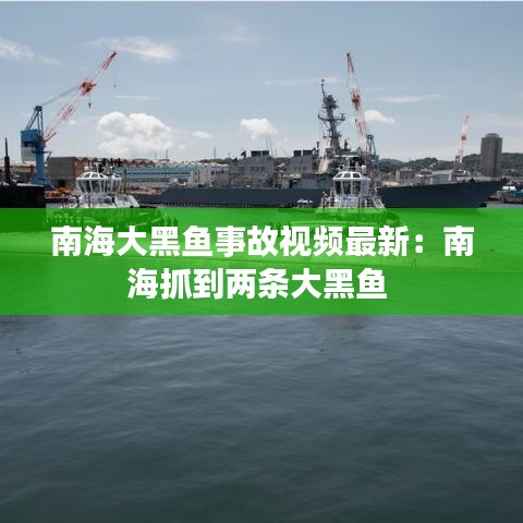南海大黑鱼事故视频最新：南海抓到两条大黑鱼 