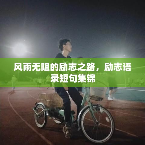 风雨无阻的励志之路，励志语录短句集锦