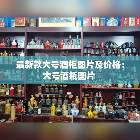 最新款大号酒柜图片及价格：大号酒瓶图片 