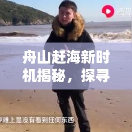 舟山赶海新时机揭秘，探寻海洋宝藏的黄金时段