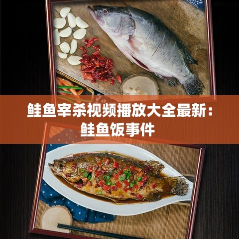 鲑鱼宰杀视频播放大全最新：鲑鱼饭事件 
