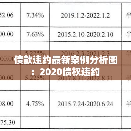 债款违约最新案例分析图：2020债权违约 