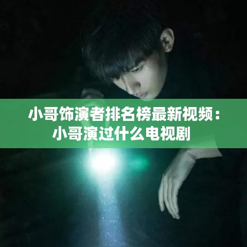 小哥饰演者排名榜最新视频：小哥演过什么电视剧 