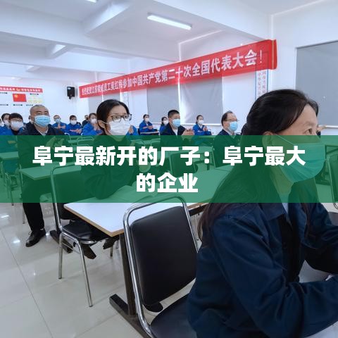 阜宁最新开的厂子：阜宁最大的企业 