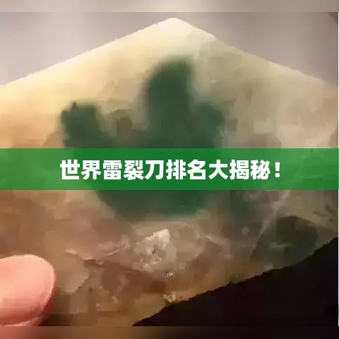 夯雀儿先飞 第2页
