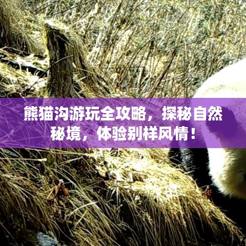 骨瘦如柴 第3页