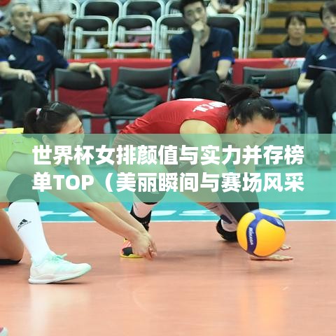 世界杯女排颜值与实力并存榜单TOP（美丽瞬间与赛场风采）