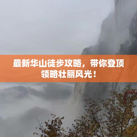 囫囵吞枣 第2页