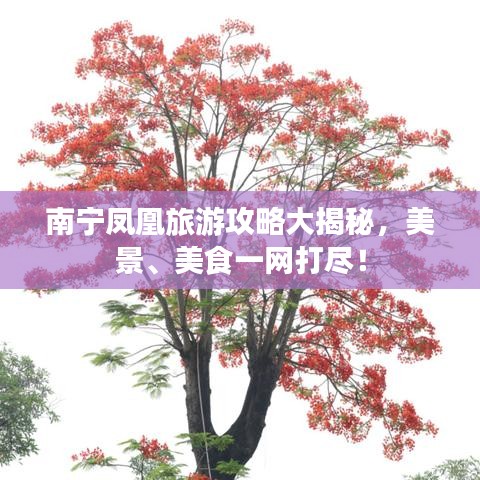 南宁凤凰旅游攻略大揭秘，美景、美食一网打尽！