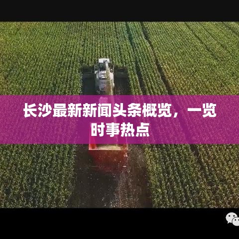 国色天姿 第2页