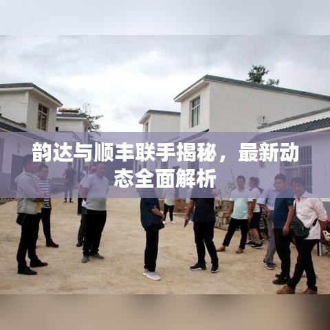 韵达与顺丰联手揭秘，最新动态全面解析