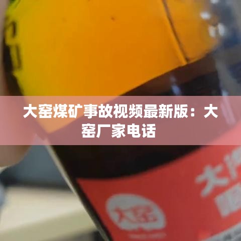 尽心竭力 第2页