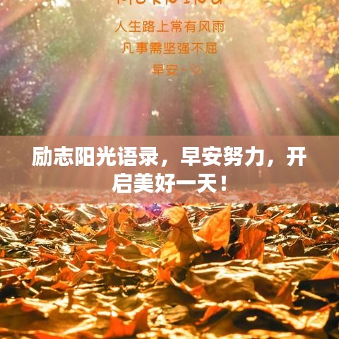 励志阳光语录，早安努力，开启美好一天！