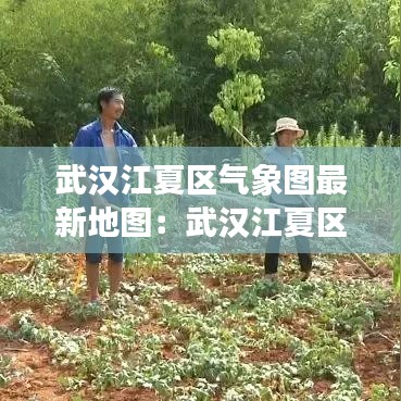 武汉江夏区气象图最新地图：武汉江夏区气候条件 