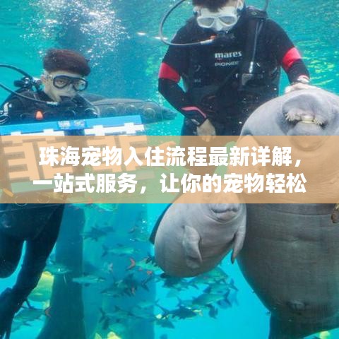 珠海宠物入住流程最新详解，一站式服务，让你的宠物轻松安家！
