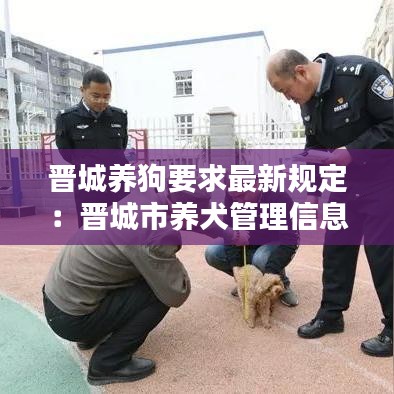晋城养狗要求最新规定：晋城市养犬管理信息网 