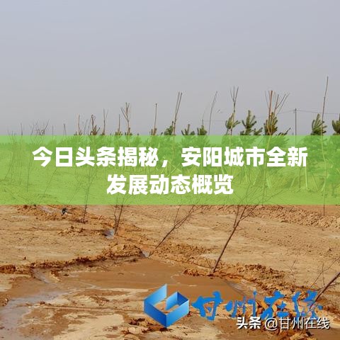 草间求活 第2页