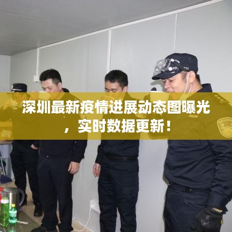 深圳最新疫情进展动态图曝光，实时数据更新！