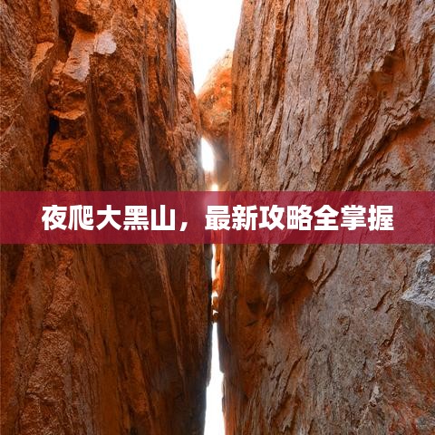 明目张胆 第2页