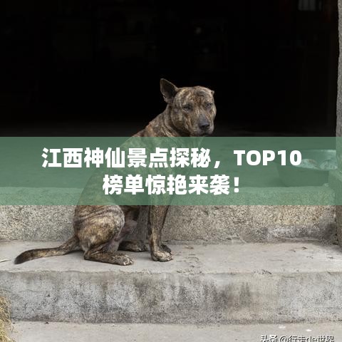 鸟语花香 第2页