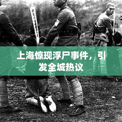 上海惊现浮尸事件，引发全城热议