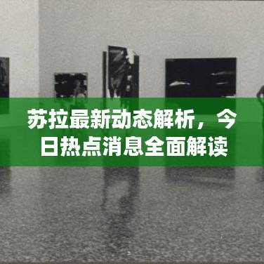 苏拉最新动态解析，今日热点消息全面解读