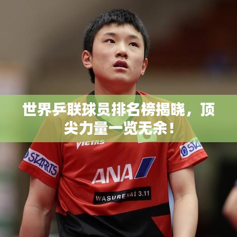 世界乒联球员排名榜揭晓，顶尖力量一览无余！