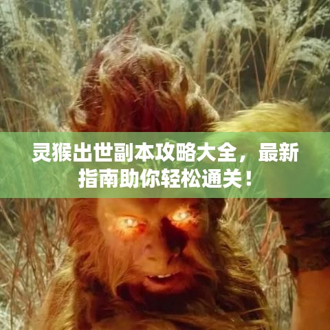 灵猴出世副本攻略大全，最新指南助你轻松通关！