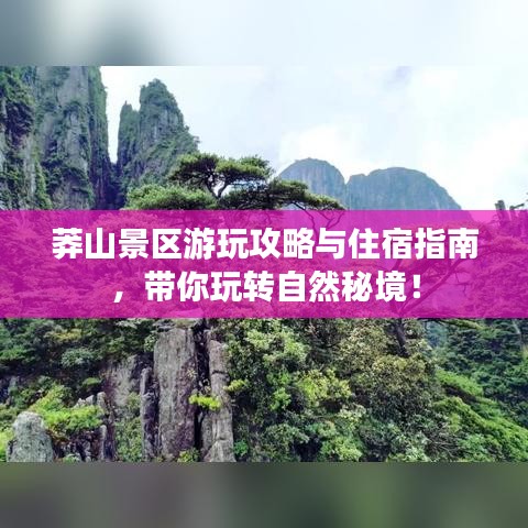 莽山景区游玩攻略与住宿指南，带你玩转自然秘境！