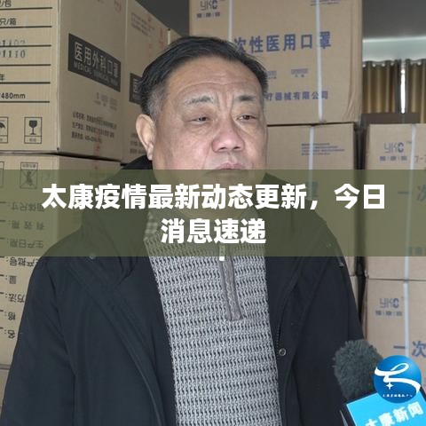 太康疫情最新动态更新，今日消息速递