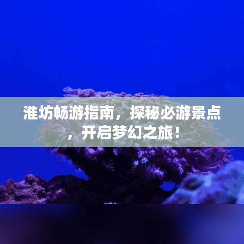 淮坊畅游指南，探秘必游景点，开启梦幻之旅！