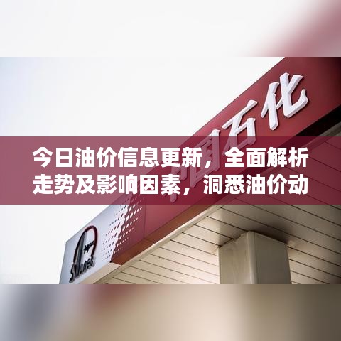 今日油价信息更新，全面解析走势及影响因素，洞悉油价动态