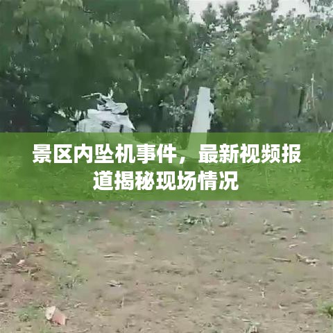 景区内坠机事件，最新视频报道揭秘现场情况