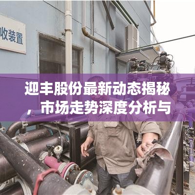 迎丰股份最新动态揭秘，市场走势深度分析与展望